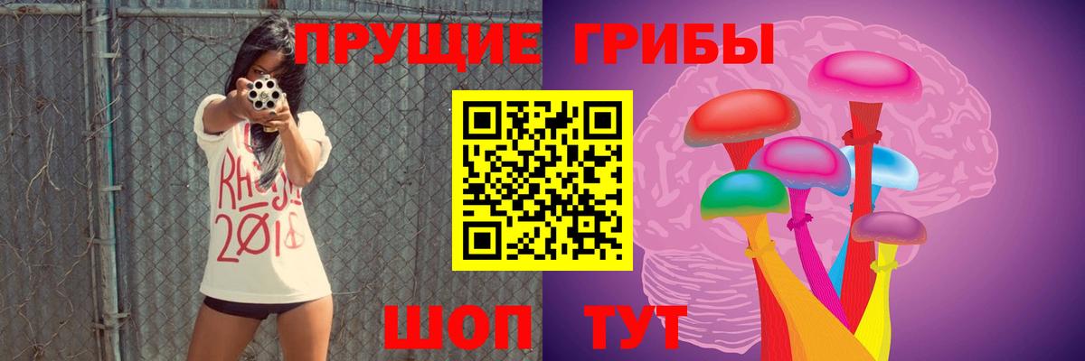 наркотики  Галлюциногенные грибы MAGIC MUSHROOMS  Вход с VPN  Псилоцибиновые грибы прущие грибы  Домодедово 